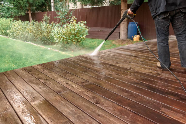 Best Soft Washing  in Limesa, CA