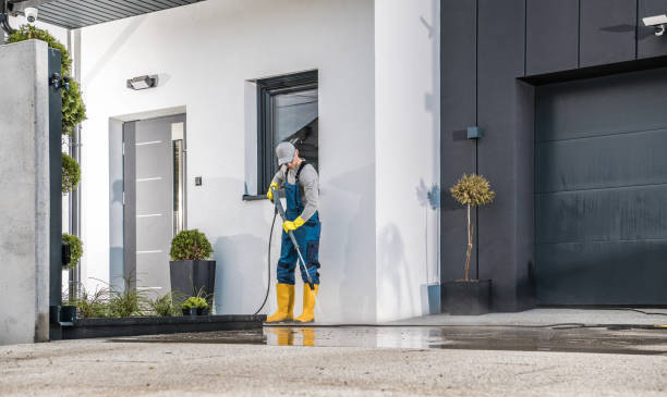 Best Gutter Cleaning  in Limesa, CA